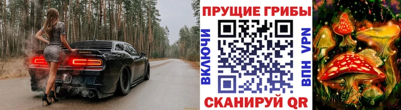 цены   Яровое  Галлюциногенные грибы Cubensis 